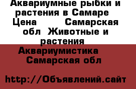 Аквариумные рыбки и растения в Самаре › Цена ­ 20 - Самарская обл. Животные и растения » Аквариумистика   . Самарская обл.